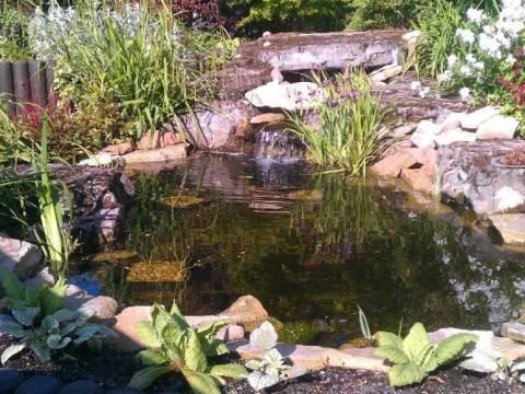 B.Landscaped3