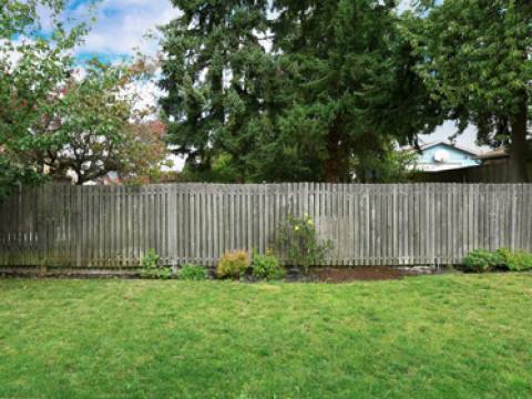 Lees Trees and Garden Services 2