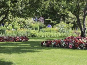 Lees Trees and Garden Services  in Shropshire
