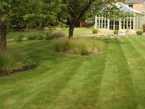 Lawn Mowing & Garden Services1