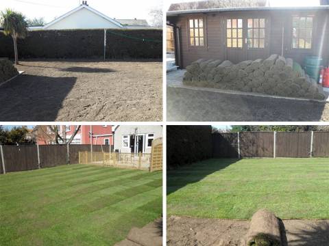 Lawn Mowing & Garden Services2