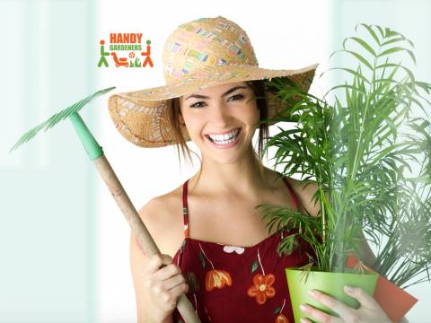 Handy Gardeners Ltd.1