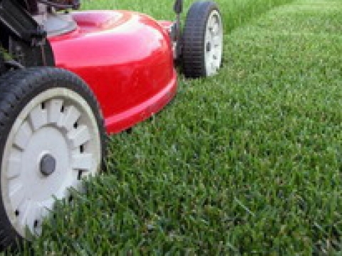 Cheshire Garden Services LTD.1