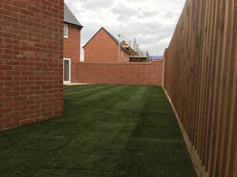 Mow and Grow Complete Lawn Care5