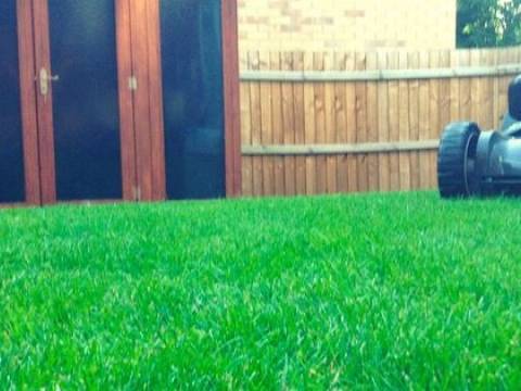 Mow and Grow Complete Lawn Care2