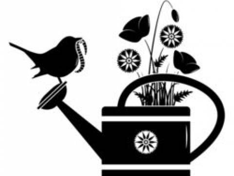 Lacewing Garden Services1