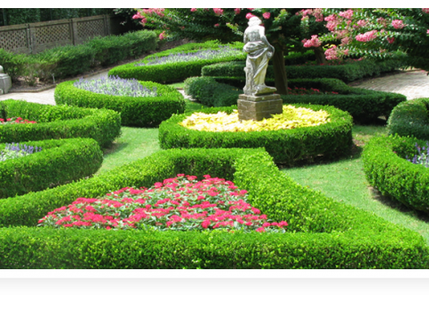 West London Gardeners 3