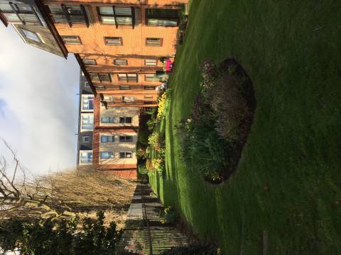 DHH Garden Services 5