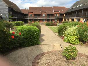 DHH Garden Services  in Hertfordshire