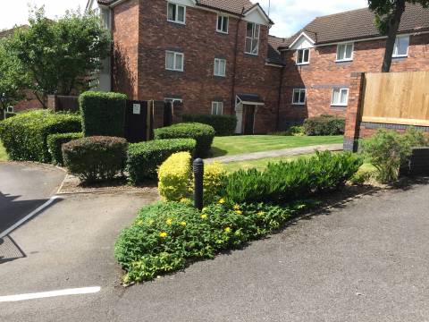 DHH Garden Services 4