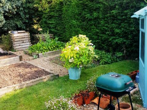 London Tree Specialist2