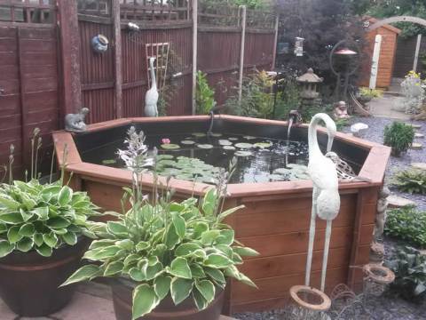 Garden Paradise3