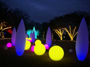 Garden-Dynamics in Strathclyde