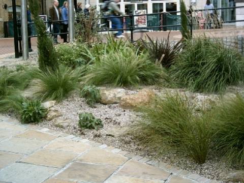 Eden Horticultural LTD3