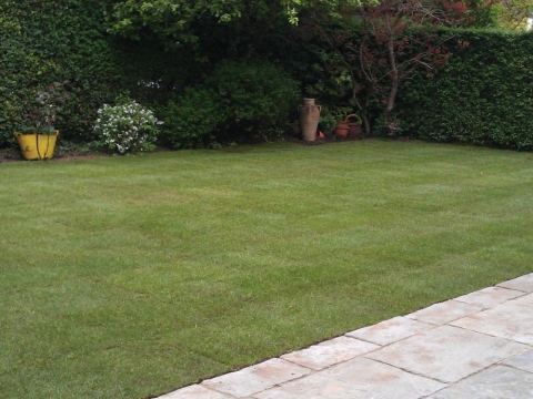 Bloom gardening services 3