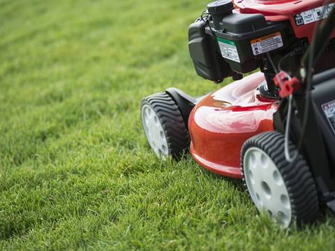 C&M GARDEN MAINTENANCE1