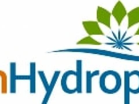 Dutch Hydroponics1