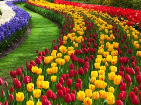 1st class garden service 4
