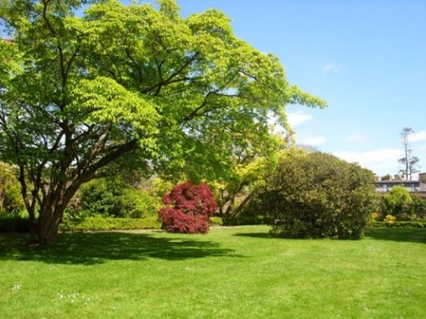 1st class garden service 3