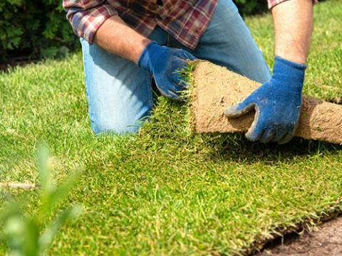 Coverdale Landscaping2