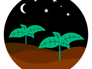 Learn Dirt in Bristol