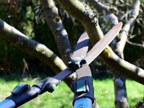 Hedge Cutting Staffordshire3