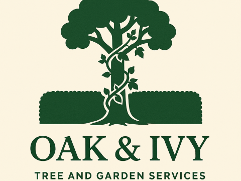 Oak and Ivy Trees 1