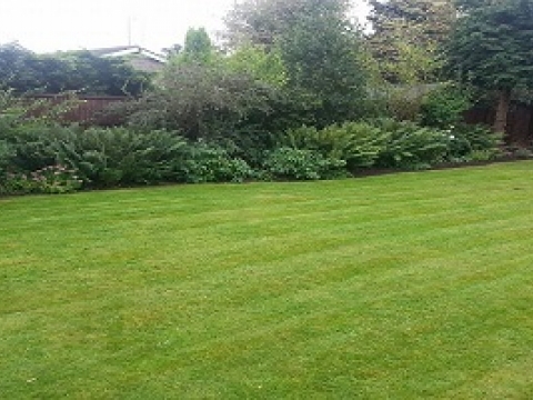 T&L landscapes 3