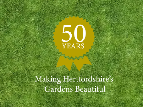 Tree Heritage Arborists5