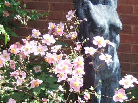 Rebecca wells garden design and management 3