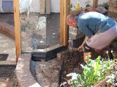 Rebecca wells garden design and management 2