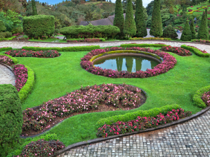 Green Grass Gardeners in Dorset