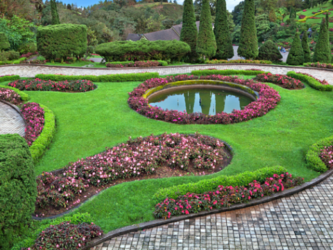 Green Grass Gardeners1