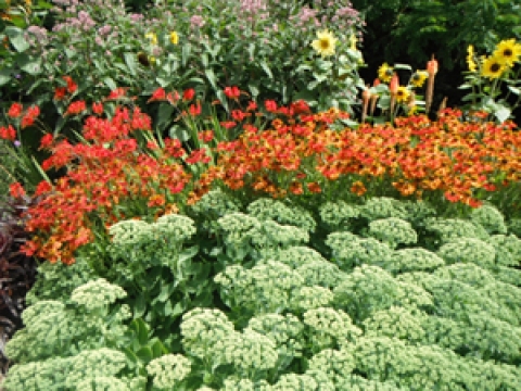 Urban Gardeners2