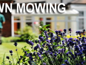Ed's Garden Maintenance in Dorset