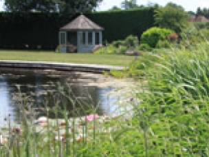 The Sussex gardener in East Sussex