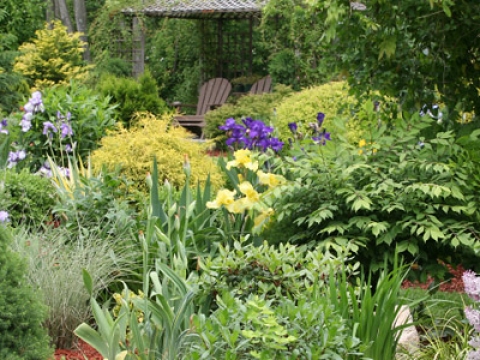 The Sussex gardener5