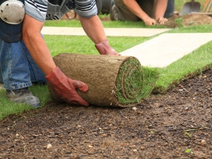 Essex & Suffolk Garden Services in Essex