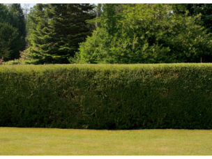 Greenfields Garden Services Ltd in Gloucestershire