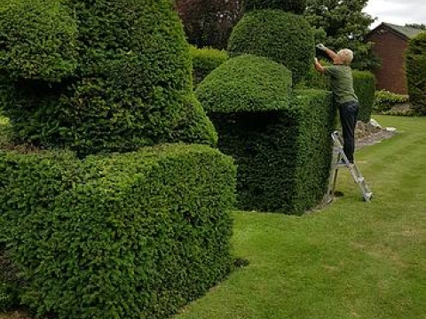 K Gardening Sevenoaks Ltd 1