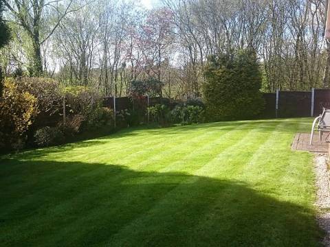 PEACE OF MIND GARDENING4