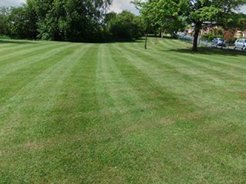 Bradley Green Tree and Garden Services1