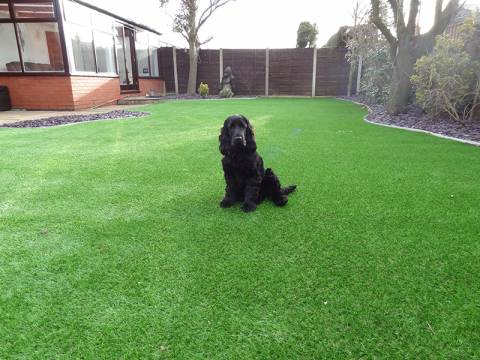 G Jones Garden Services Ltd3