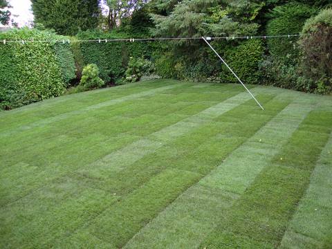 G Jones Garden Services Ltd4