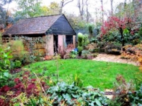 New Life Gardening Landscaping, Maintenance and Consultancy Services2