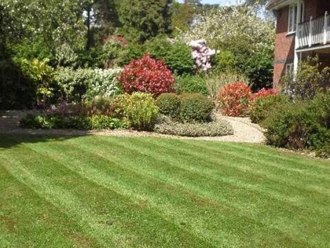 CJ Garden Service Ltd1