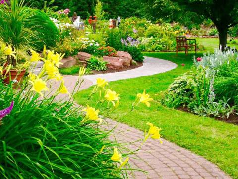 CJ Garden Service Ltd3