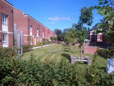 CJ Garden Service Ltd2