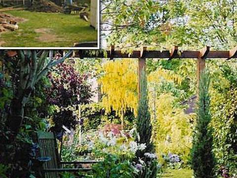 Avenue Landscapes Ltd2