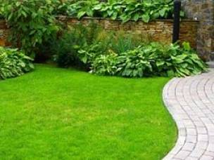 Avenue Landscapes Ltd in Herefordshire